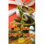 Un livre sous le sapin